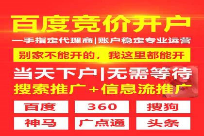 Sem优化公司案例：打造高效广告投放方案